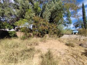 Terreno en venta en Santa María del Tule Centro, Santa María del Tule — foto 3 de 9