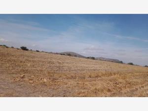 Terreno en venta en Las Taponas, Huimilpan — foto 2 de 4