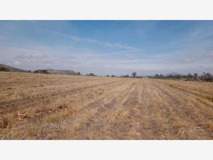 Terreno en venta en Las Taponas, Huimilpan — foto 3 de 4