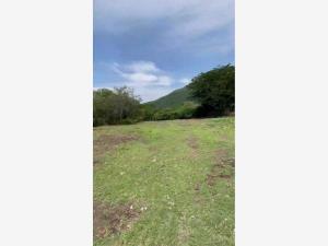 Terreno en venta en Ayuquila, El Grullo — foto 2 de 5