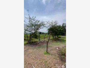 Terreno en venta en Ayuquila, El Grullo — foto 3 de 5