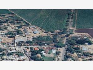 Terreno en venta en Ayuquila, El Grullo — foto 3 de 4