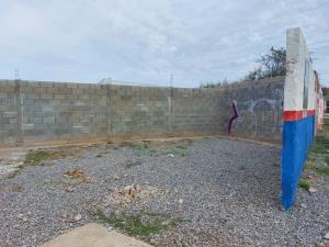 Terreno en renta en La Union, Torreón — foto 3 de 5