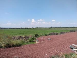Terreno en venta en El Castillo, Apaseo El Grande — foto 3 de 4
