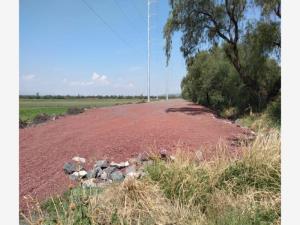 Terreno en venta en El Castillo, Apaseo El Grande — foto 2 de 4