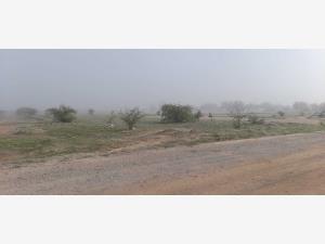 Terreno en venta en Hormiguero, Matamoros — foto 3 de 4
