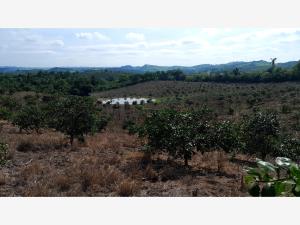 Terreno en venta en Chichimantla Segundo, Tihuatlán — foto 2 de 16