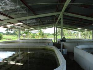 Finca-Rancho en venta en Tequila, Jalapa — foto 3 de 11