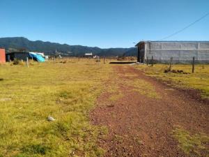 Terreno en venta en Chignahuapan, Chignahuapan — foto 2 de 19