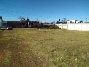 Terreno en venta en Chignahuapan, Chignahuapan — foto 3 de 19
