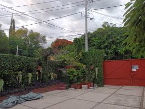 Departamento en renta en Las Palmas, Cuernavaca — foto 3 de 17