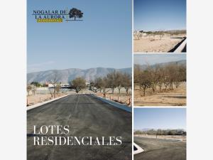 Terreno en venta en La Aurora, Saltillo — foto 2 de 5
