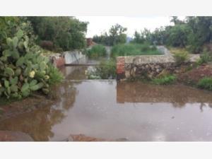 Finca-Rancho en venta en Zempoala Centro, Zempoala — foto 2 de 11
