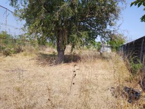 Terreno en venta en Granadillo, Salina Cruz — foto 3 de 7