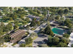 Terreno en venta en Tacubaya, Parras — foto 3 de 6
