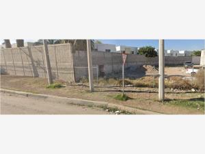 Casa en venta en Residencial Senderos, Torreón — foto 2 de 4