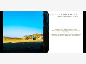 Finca-Rancho en venta en Somorriel, Singuilucan — foto 3 de 6