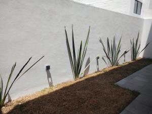 Casa en venta en Bosques Tres Marias, Morelia — foto 2 de 28