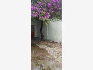 Casa en venta en Lagos de Moreno Centro, Lagos de Moreno — foto 2 de 7