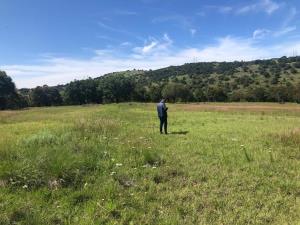 Terreno en venta en Campestre Haras, Amozoc — foto 2 de 14