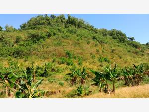 Terreno en venta en El Volador, Papantla — foto 2 de 8