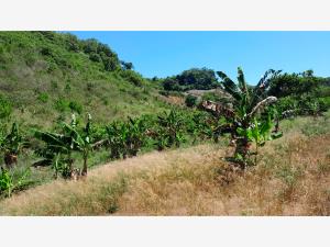 Terreno en venta en El Volador, Papantla — foto 3 de 8