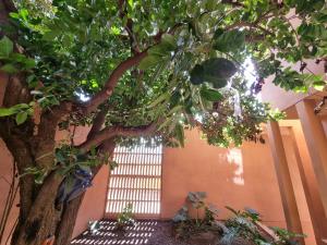 Casa en venta en Tlalixtac de Cabrera, Tlalixtac de Cabrera — foto 3 de 14