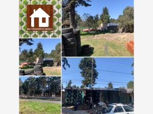 Terreno en renta en Las Delicias, Atlautla — foto 2 de 6