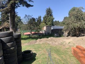 Terreno en renta en Las Delicias, Atlautla — foto 3 de 6