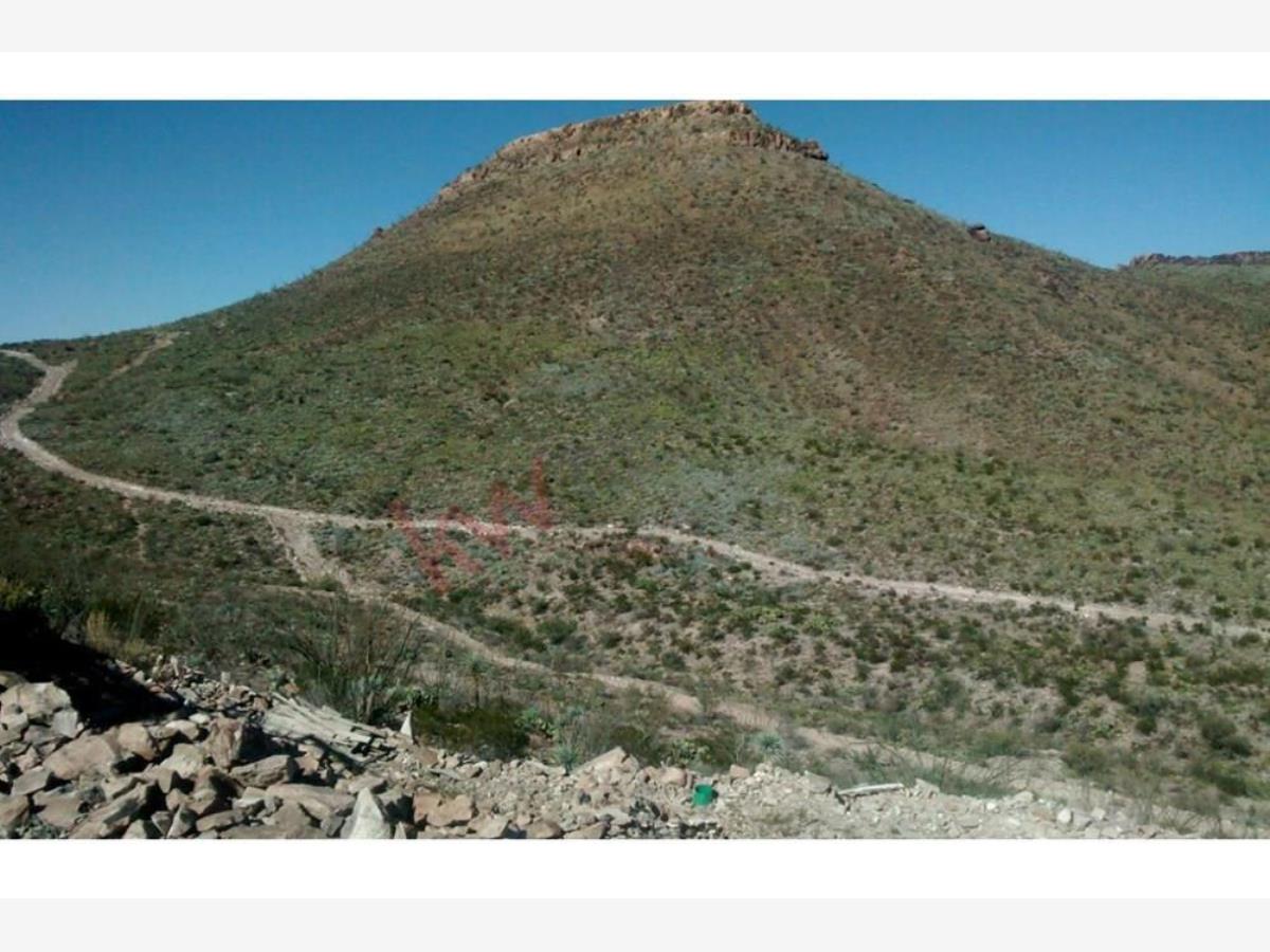 Terreno en venta en Mapimí, Mapimí — foto 1 de 6