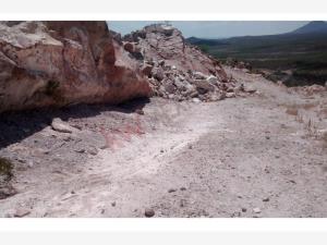 Terreno en venta en Mapimí, Mapimí — foto 3 de 6