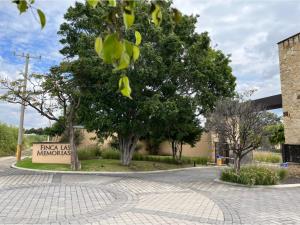 Terreno en venta en Tolometla de Benito Juárez, Atlixco — foto 3 de 9