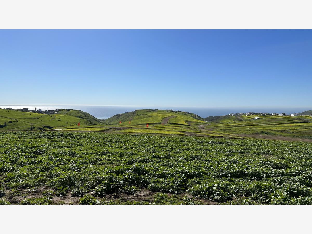 Terreno en venta en Mar de Calafia, Playas de Rosarito — foto 1 de 11