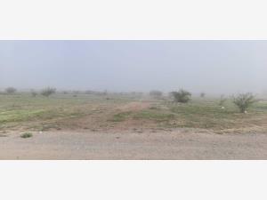 Terreno en venta en Hormiguero, Matamoros — foto 2 de 2