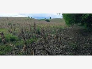 Terreno en venta en Remolino, Papantla — foto 2 de 3