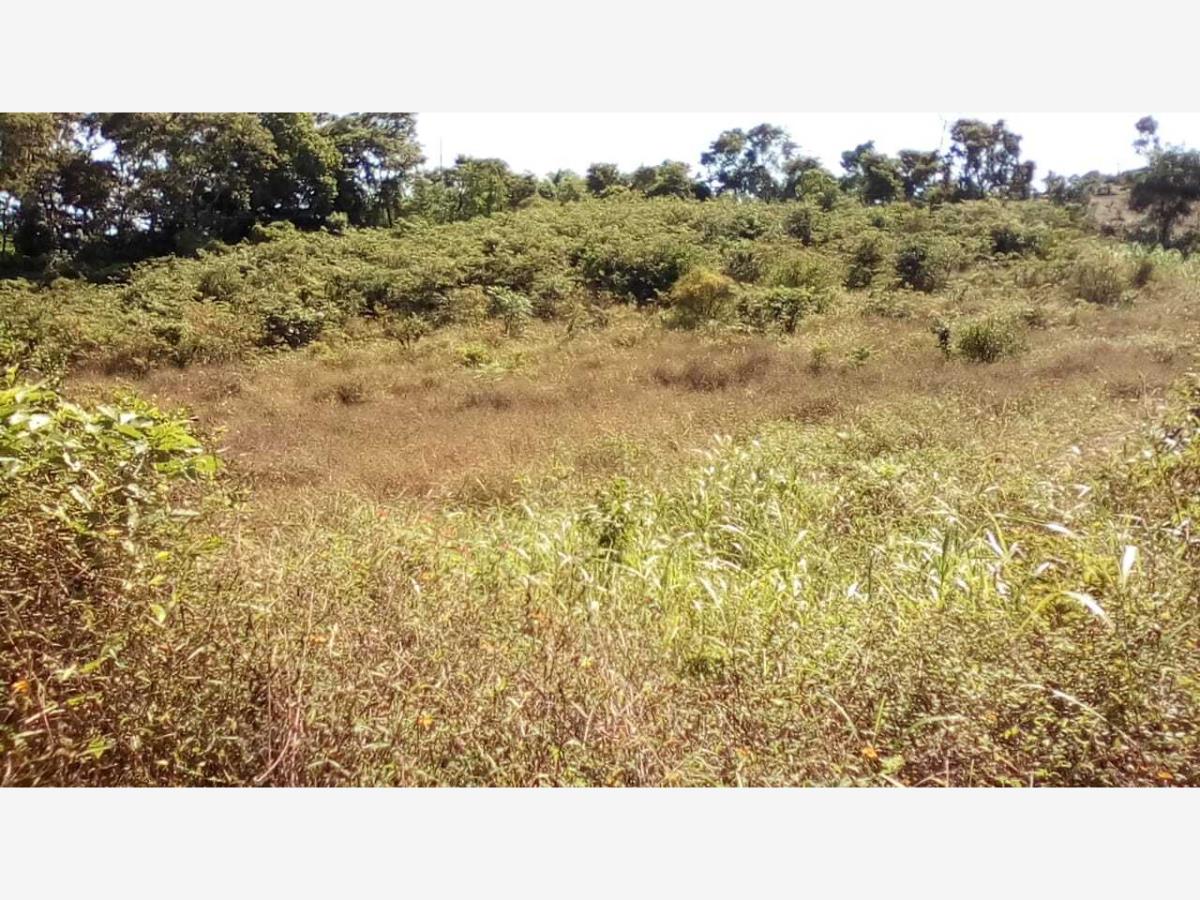 Terreno en venta en Jiliapa Segundo, Tihuatlán — foto 1 de 17