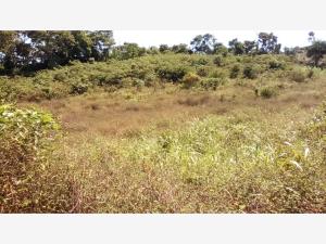 Terreno en venta en Jiliapa Segundo, Tihuatlán, Veracruz de Ignacio de la Llave