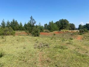 Terreno en venta en San José Ocotillos, Huasca de Ocampo, Hidalgo