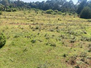 Terreno en venta en San José Ocotillos, Huasca de Ocampo — foto 2 de 5