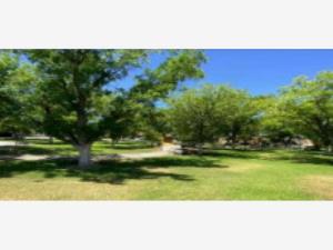 Casa en venta en Paseo de los Nogales, Juárez, Chihuahua
