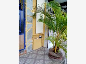 Hotel en venta en Guadalupe Victoria, Papantla — foto 3 de 18