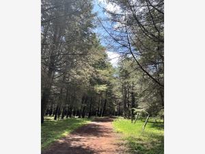 Terreno en venta en Santiago Undameo, Morelia — foto 3 de 4