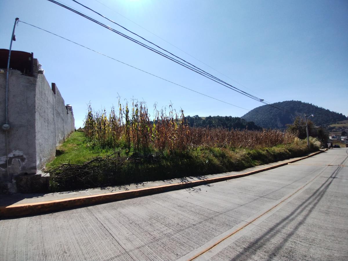 Terreno en venta en San Juan Tomasquillo, Xalatlaco — foto 1 de 5