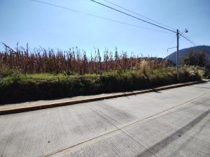 Terreno en venta en San Juan Tomasquillo, Xalatlaco — foto 3 de 5