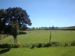 Finca-Rancho en venta en Amealco de Bonfil Centro, Amealco de Bonfil — foto 2 de 9