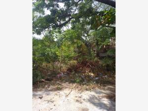 Terreno en venta en Miguel Hidalgo Poniente, Salina Cruz — foto 3 de 3