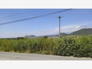 Terreno en venta en Xalpatlaco, Atlixco — foto 3 de 9