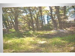 Terreno en venta en Huertas de San Pedro, Huitzilac — foto 2 de 2