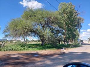 Terreno en venta en Guadalupe la Venta, El Marqués — foto 3 de 4