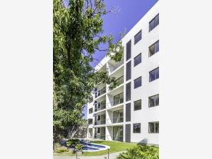 Departamento en renta en Chipitlan, Cuernavaca — foto 2 de 12